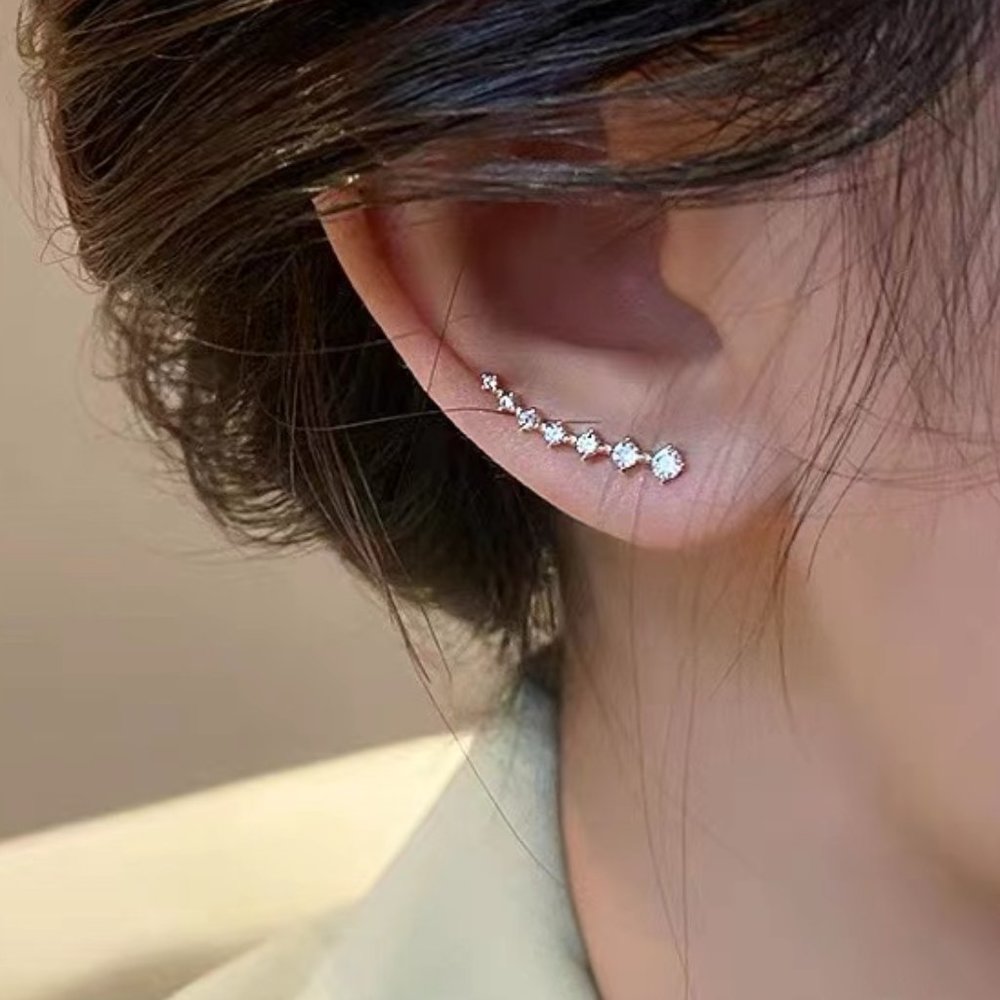 Zircon earrings female niche design